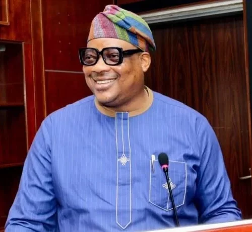 Amb. Olusiji Aina