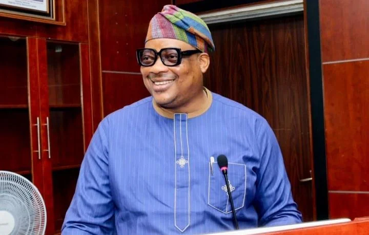 Amb. Olusiji Aina